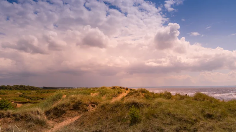 Een pad door de duinen onder een avondlucht